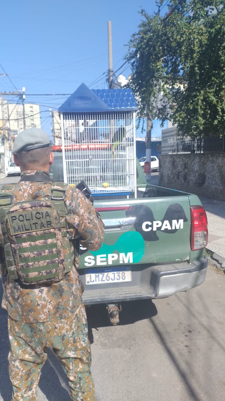 Polícia encontra papagaio sendo criado sem documentações necessárias em Niterói 